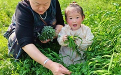 吻戏床戏脱戏吻胸激清床吻戏脱戏